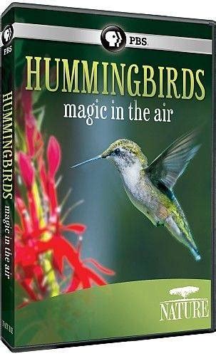 Pbs hummingbireds magic in the air